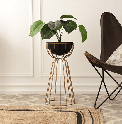 Twin Large Bloom Black floor  planters