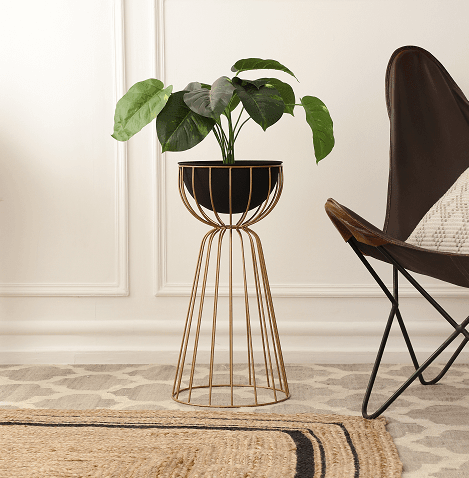 Twin Large Bloom Black floor  planters