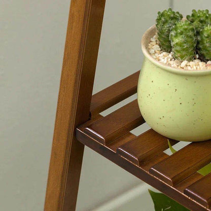 Plant Stand: 4-Tier Wooden Plant Stand