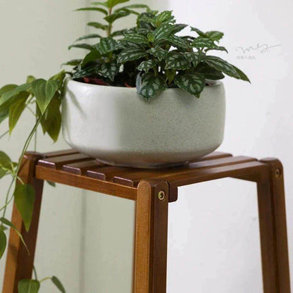 Plant Stand: 4-Tier Wooden Plant Stand